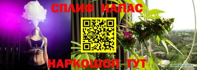 гидра Гусиноозёрск