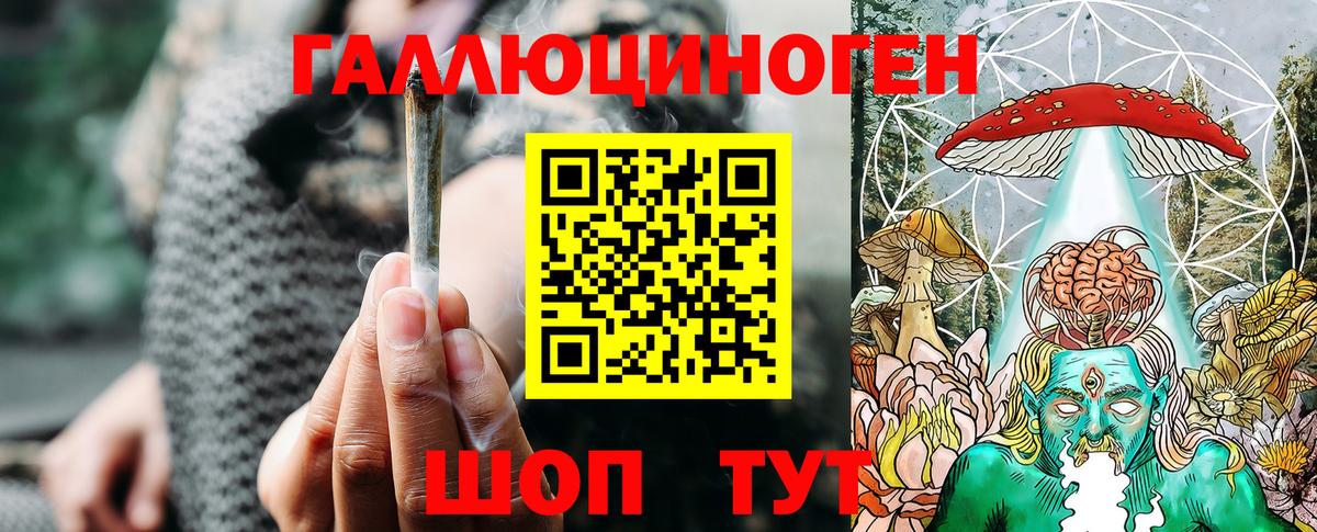 Псилоцибиновые грибы Psilocybine cubensis Королёв