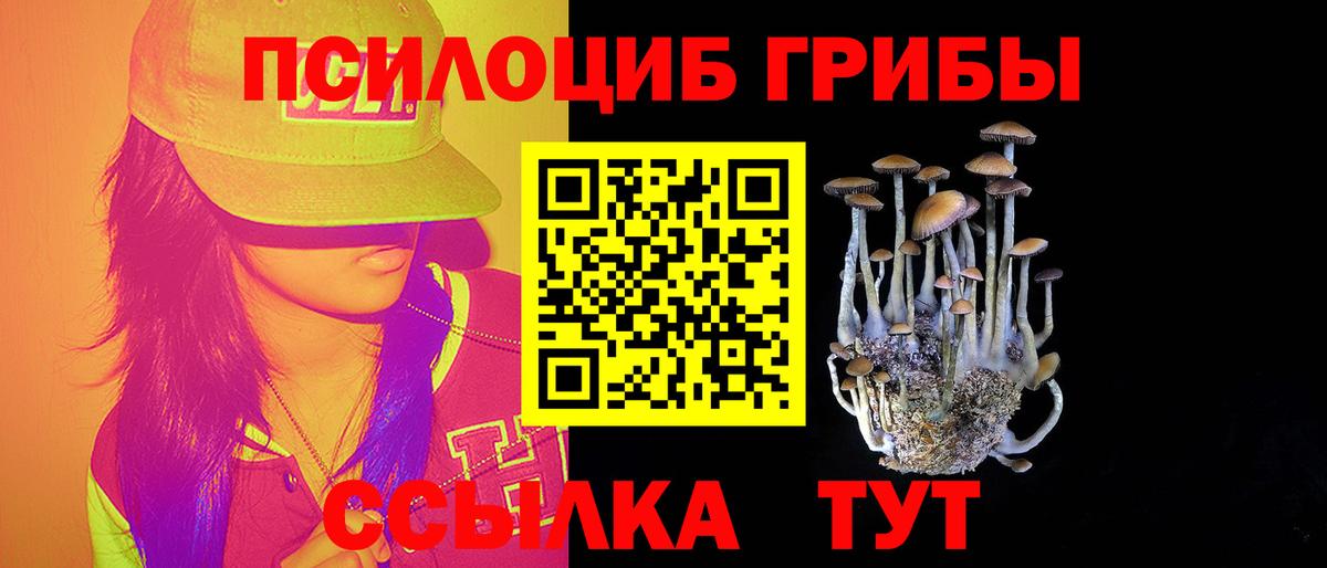 Королёв  цены   Вход с VPN  Галлюциногенные грибы Psilocybine cubensis  Галлюциногенные грибы Psilocybine cubensis 